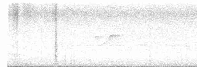 Sarı Karınlı Boreal Sinekkapan - ML619128778