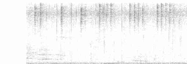 Колібрі-лісовичок буроголовий - ML619128828