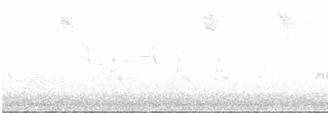 gråfluesnapper - ML619128949