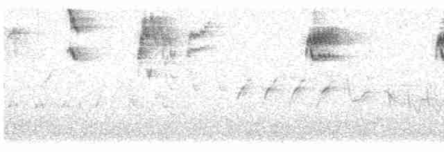 gråfluesnapper - ML619129171