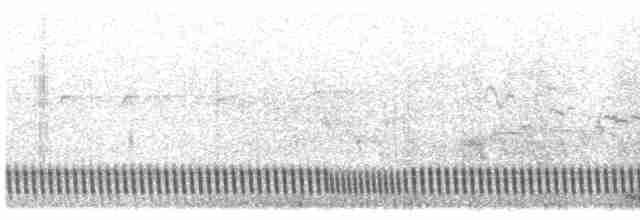 Eurasian Nightjar - ML619129320