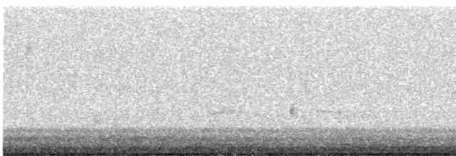 קוקיה שחורת-מקור - ML619129642