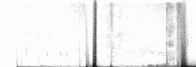 Troglodyte à nuque rousse - ML619129645