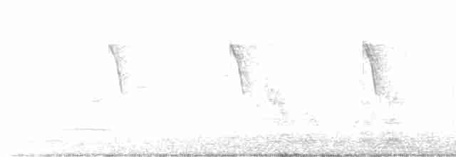 棕扇尾鶯 - ML619129843