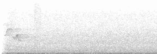 Cerulean Warbler - ML619130202
