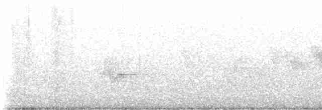 Cerulean Warbler - ML619130205