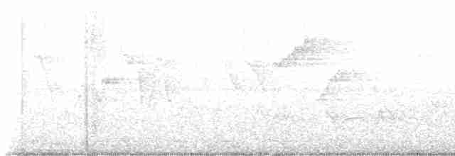 Canada Warbler - ML619130212