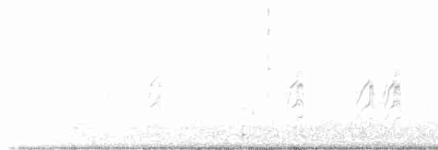 Малая крачка - ML619130225