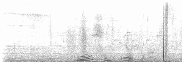 Малая вильсония - ML619130255
