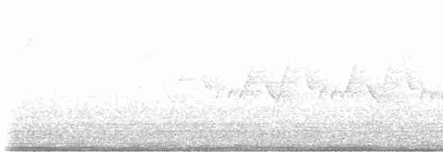 Paruline à calotte noire - ML619130256