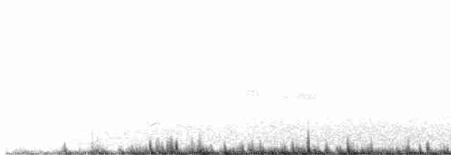 Черноголовая чайка - ML619130279