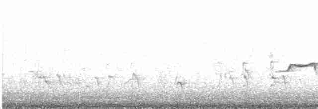 vodouš kropenatý - ML619130329