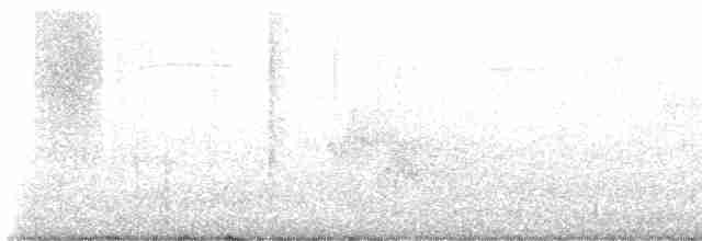 Трясогузковый певун - ML619130338