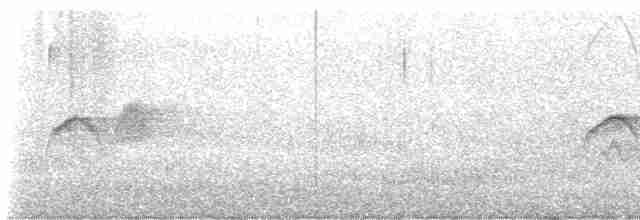 Светлобрюхий фиби - ML619130367