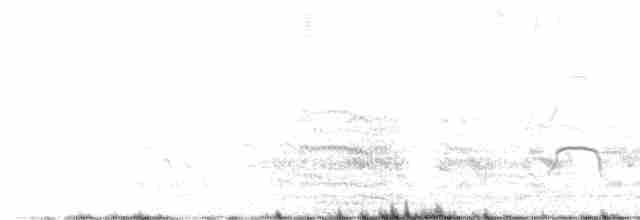 Eurasian Oystercatcher - ML619130581