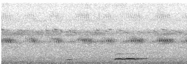 Рюкюйская сплюшка - ML619130759