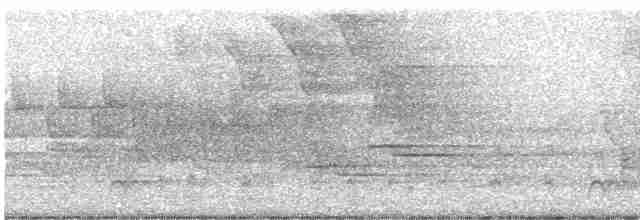 Chochín Hiemal - ML619130792