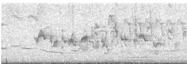 Кропив'янка сіра - ML619130893