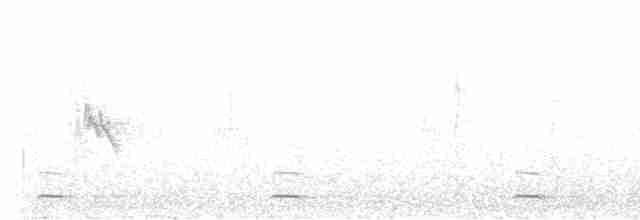 Сичик-горобець гірський (підвид pinicola) - ML619130906