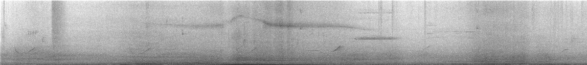 Зернолуск бурогузий - ML619131069