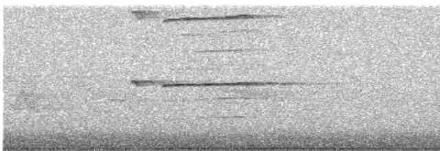 Ширококрылый канюк - ML619131359