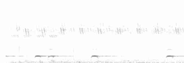 Ошейниковый сычик - ML619131486