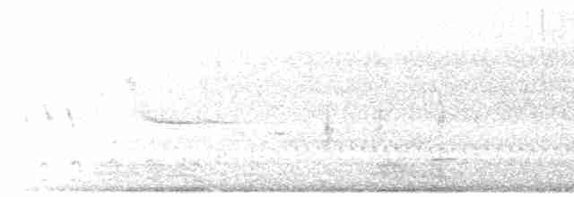 vlhovec červenokřídlý - ML619131723