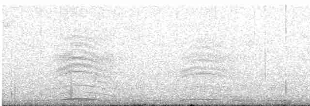Eurasian Collared-Dove - ML619131744