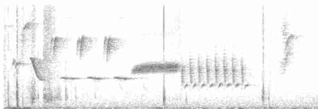 Bewick Çıtkuşu - ML619131762