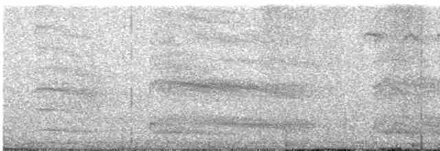 Озёрная чайка - ML619131769