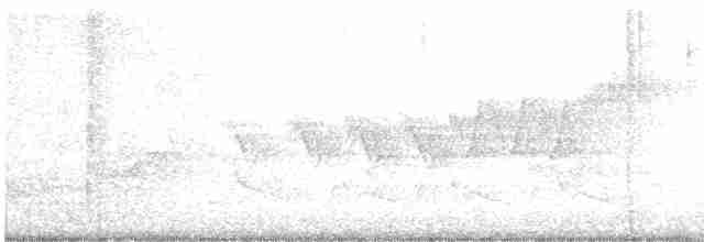 lesňáček modropláštíkový - ML619131796