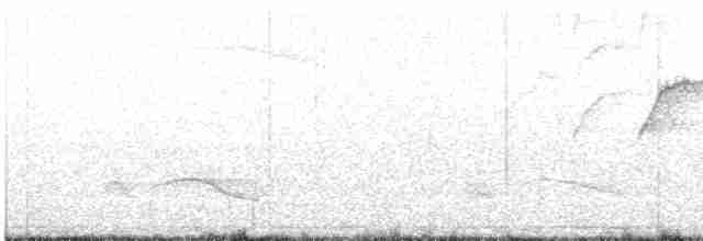 Spotless Starling - ML619132075