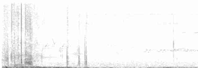 Prairie Warbler - ML619132130
