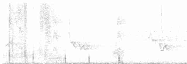 Кокардовый дятел - ML619132137