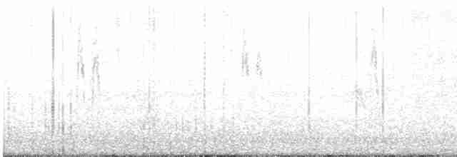 Lavandera Blanca - ML619132146