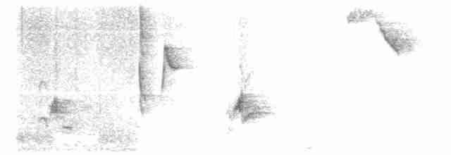 drozdec černohlavý - ML619132163