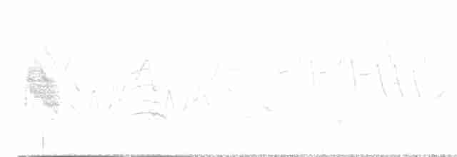 Söğüt Sinekkapan - ML619132201