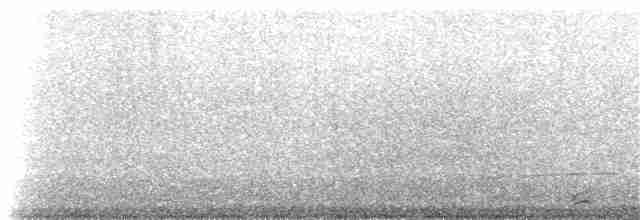 Braunmantel-Austernfischer - ML61913251