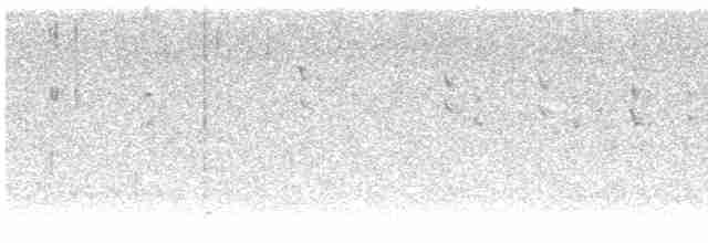 Щиглик звичайний - ML619132573