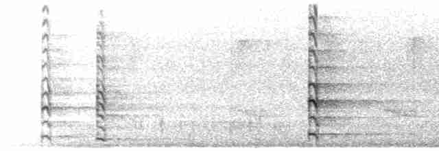 Common Gallinule - ML619132783