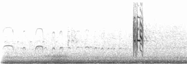 Antillenseeschwalbe - ML61913281