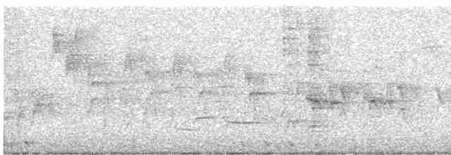 קוקיה שחורת-מקור - ML619132893