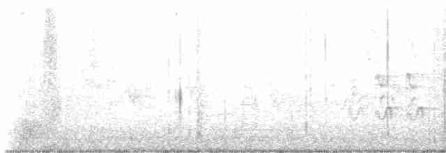 Gray-cheeked Thrush - ML619133053