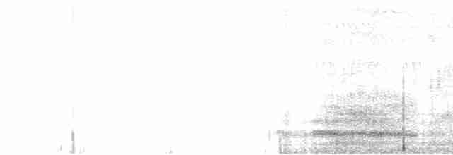Малая белая цапля - ML619133210
