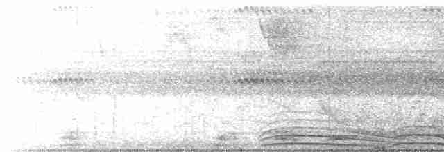 Ошейниковый лесной сокол - ML619133631