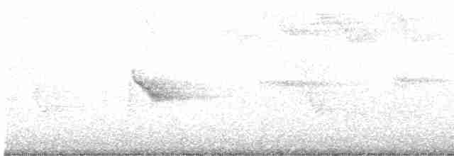 Bicknell Bülbül Ardıcı - ML619133906