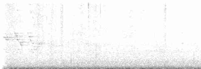 Bicknell Bülbül Ardıcı - ML619133908