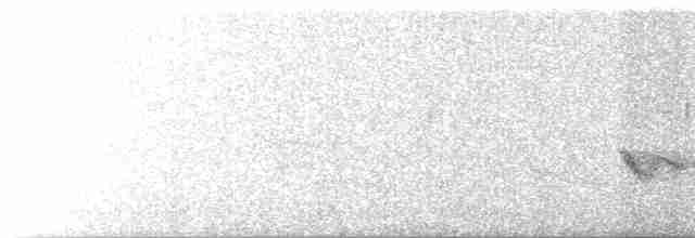 Kara Kanatlı Piranga - ML619134434