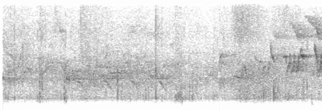 Черногорлая хвойница - ML619134460