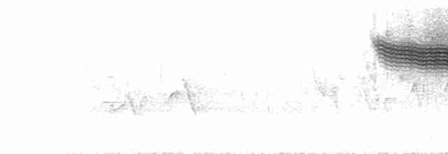 Червоїд золотокрилий - ML619134638